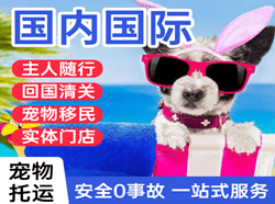天府航空托运国际宠物托运 【国